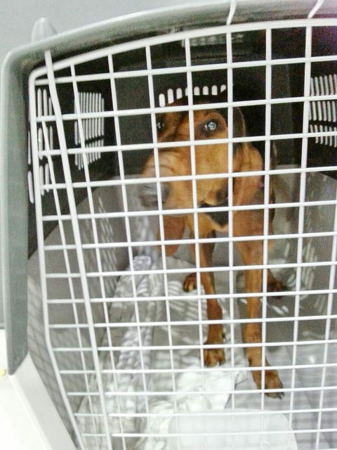 20160507 031603 resized