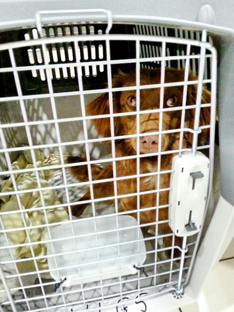 20160507 032237 resized