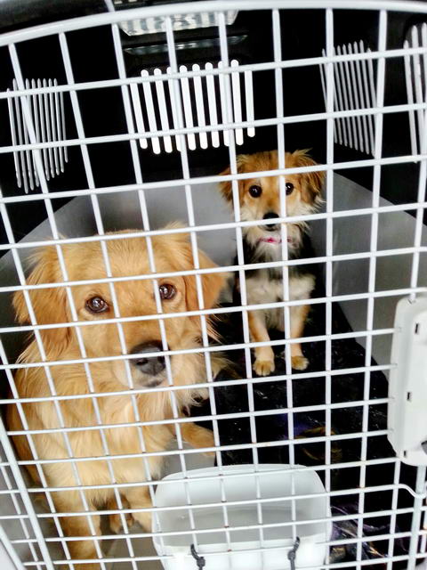 20160508 141000 resized