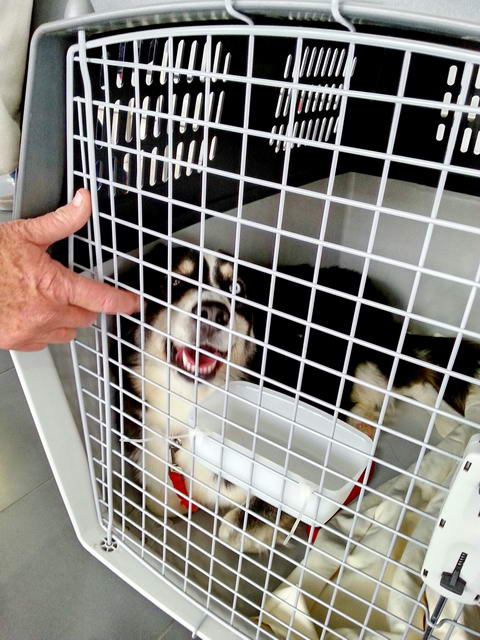 20160508 141032 resized