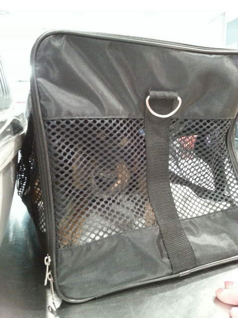 20160508 145019 resized