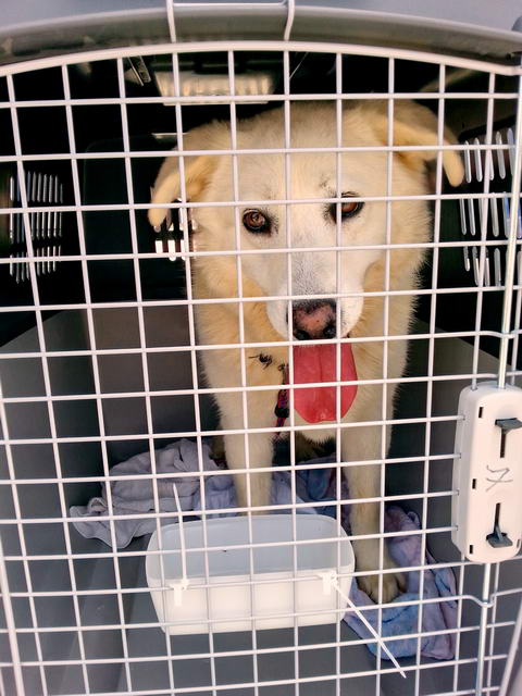 20160522 133212 resized