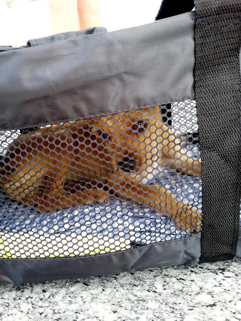 20160522 133243 resized