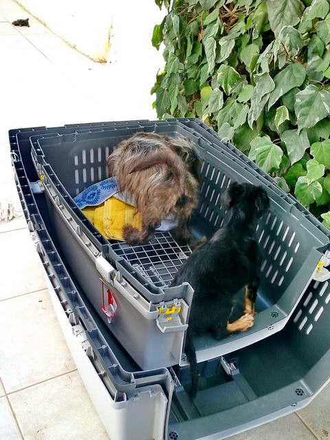 20160522 172426 resized