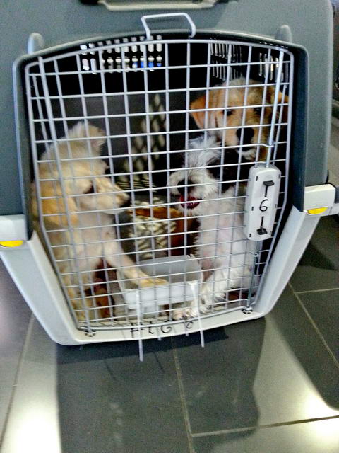 20160528 112140 resized