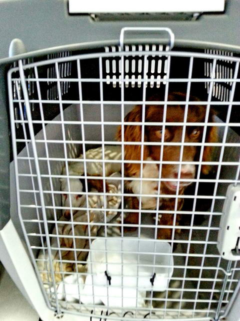 20160528 112234 resized