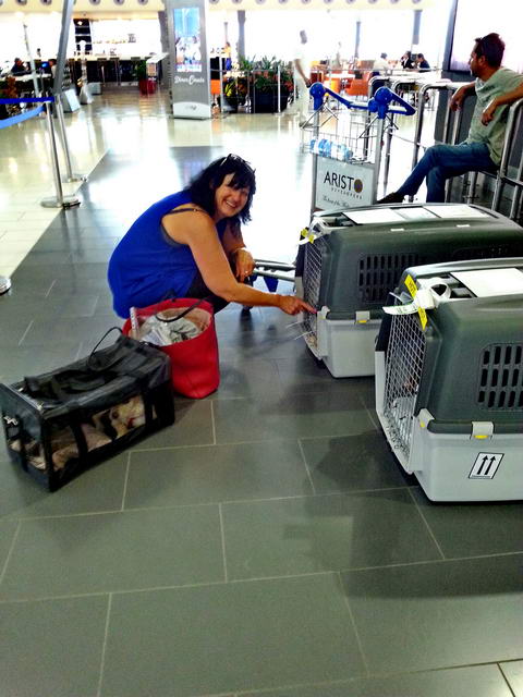 20160528 114132 resized