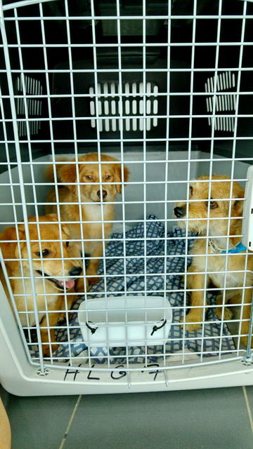 Esme Ebana and Jemma