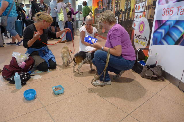 2016 06 15 15.24.35 1