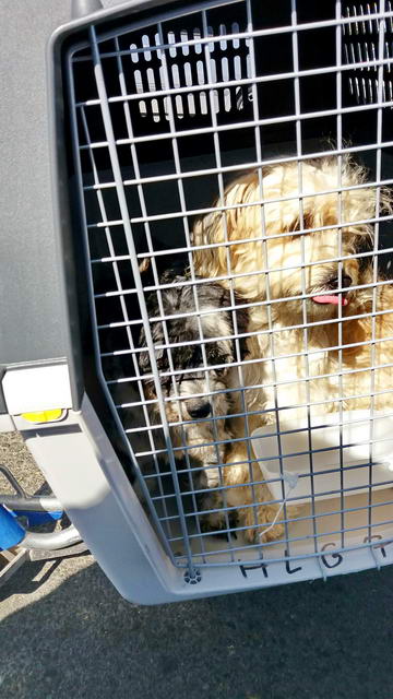 20161026 134340 resized