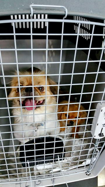 20161026 140248 resized