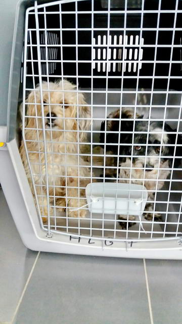 20161026 140647 resized