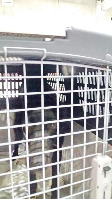 20161030 031225 resized