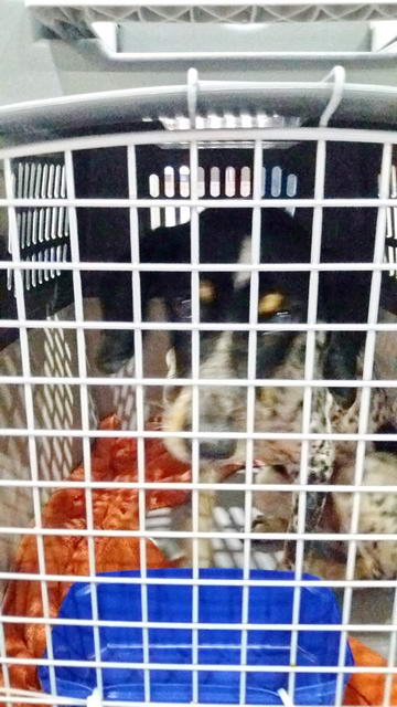 20161030 031234 resized