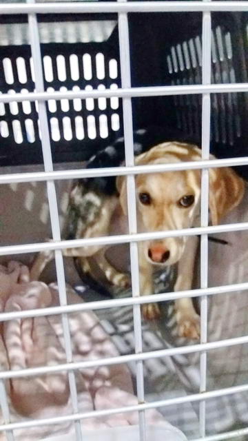 20161030 031250 resized