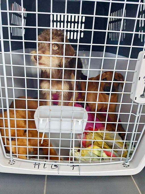 15128685 654686994693116 231291461 n