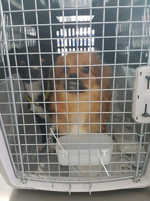 15139268 654686998026449 938920309 n