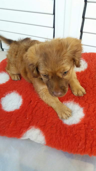 20161120 123834 resized