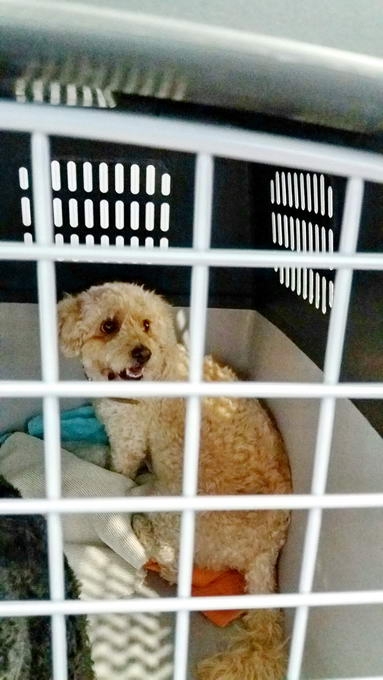 20161120 150710 resized