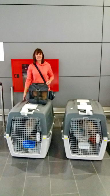 20161120 154246 resized