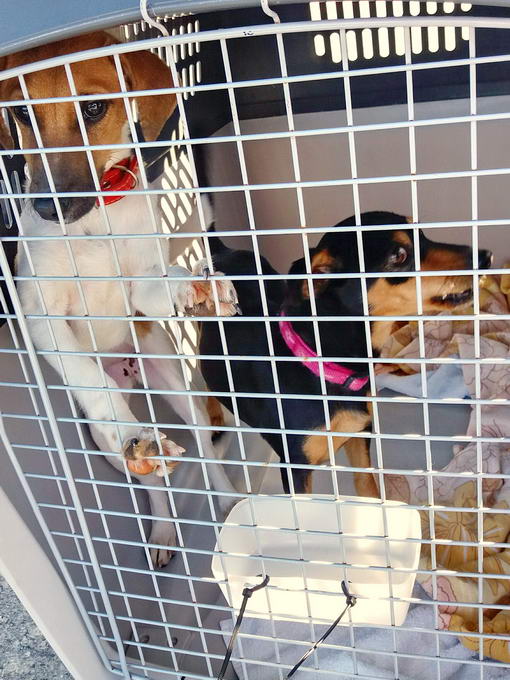 20161127 115301 resized