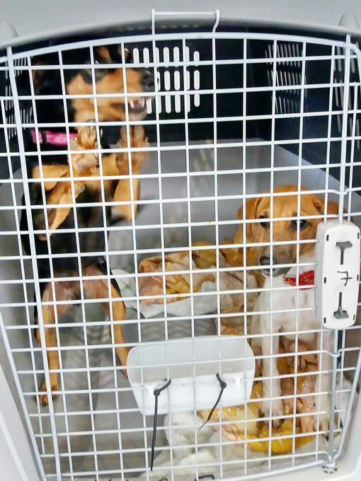 20161127 120201 resized