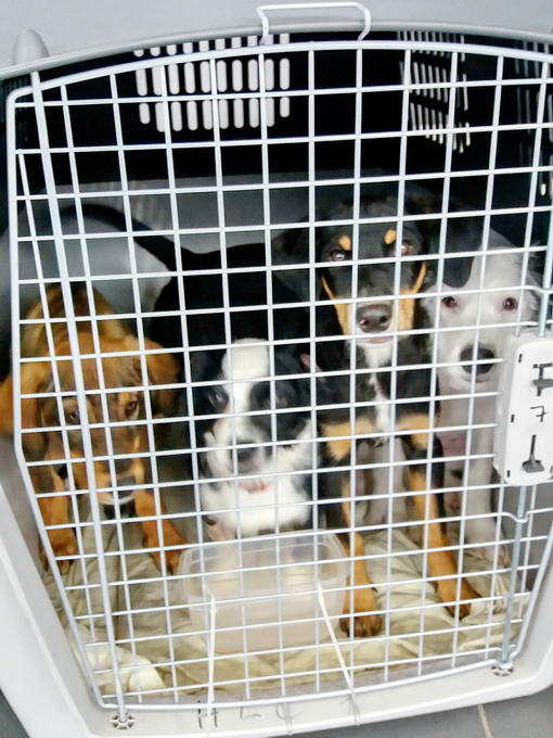 20161127 120208 resized