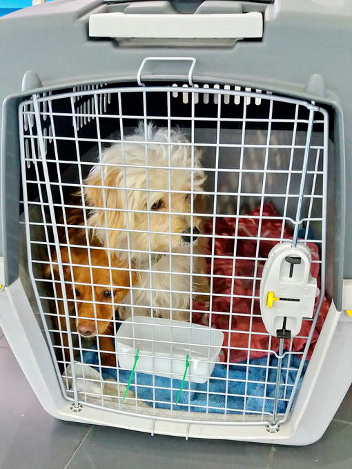 20161202 131121 resized