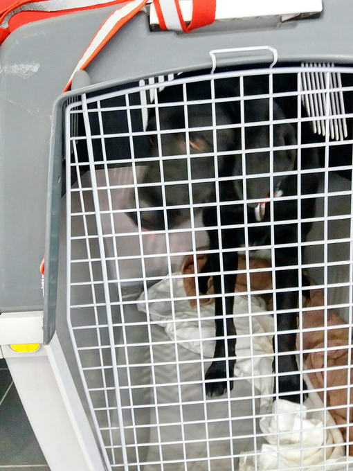 20161202 131309 resized