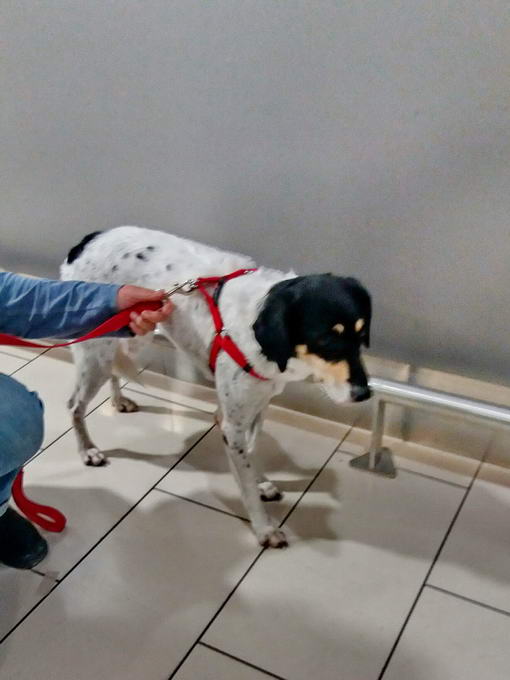 20161204 040932 resized