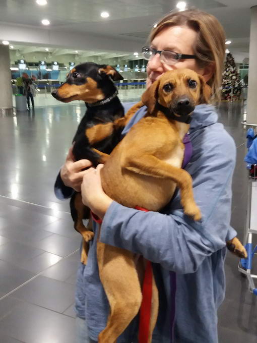 20161204 041213 resized