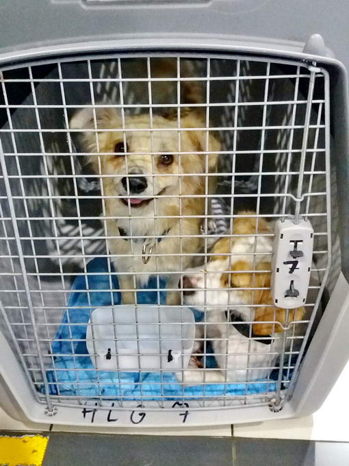 20161207 035327 resized