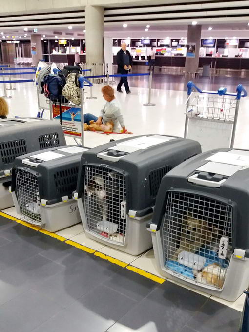 20161207 040926 resized