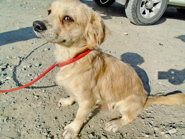 Ankunft 2016 12 04 Kopie