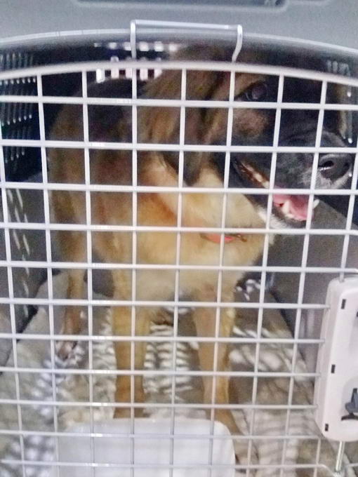 20161216 035104 resized