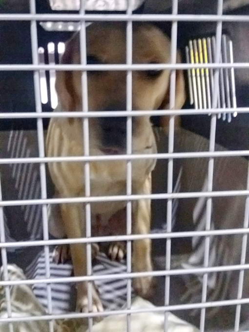 20161216 035123 resized