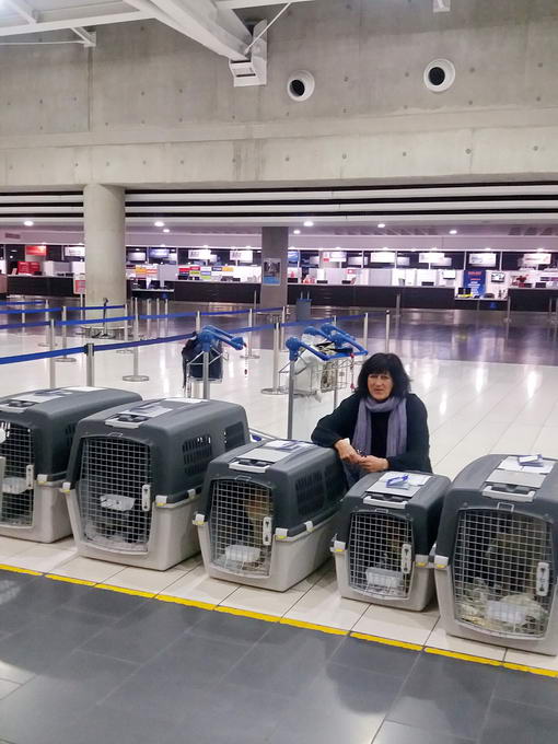 20161216 035304 resized