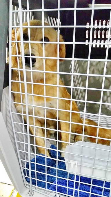 15218666 656036821224800 1849275901 n