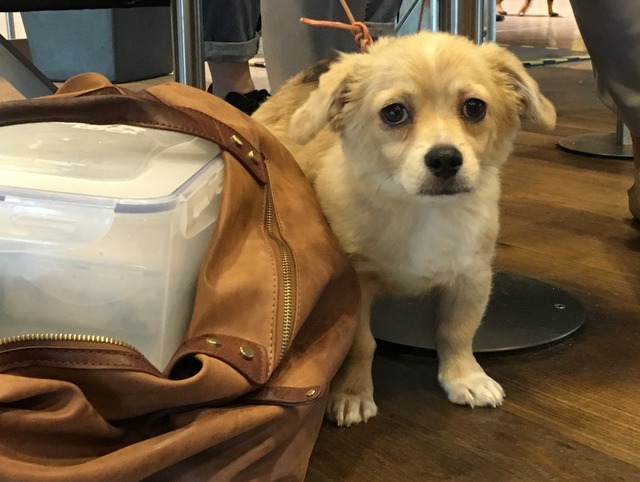 1 Foto 22.06.16 14 03 38