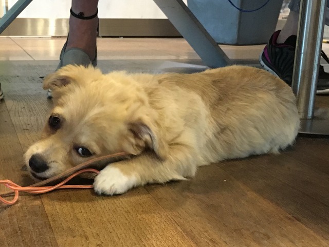 1 Foto 22.06.16 14 06 39