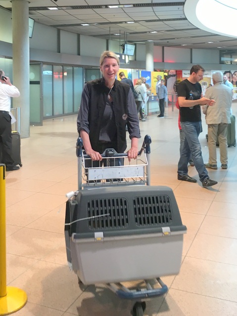 1 Foto 22.06.16 15 02 35 001