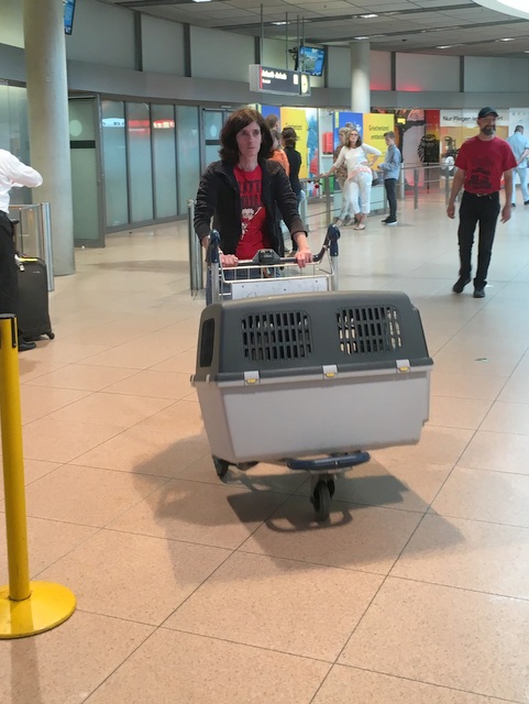 1 Foto 22.06.16 15 04 12 001