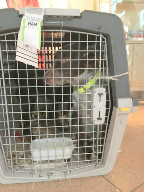 1 Foto 22.06.16 15 09 04