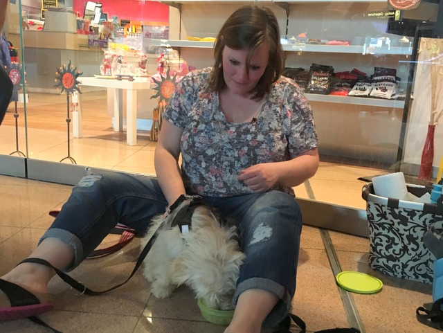 1 Foto 22.06.16 15 09 16