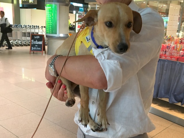 1 Foto 22.06.16 15 11 47