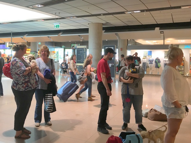 1 Foto 22.06.16 15 26 05