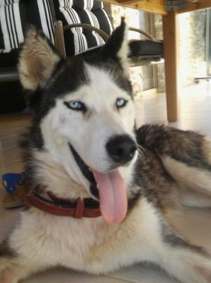 thumb 1 20160710 171657