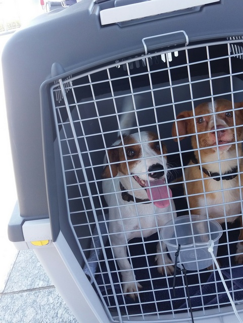 1 20160828 132335 resized