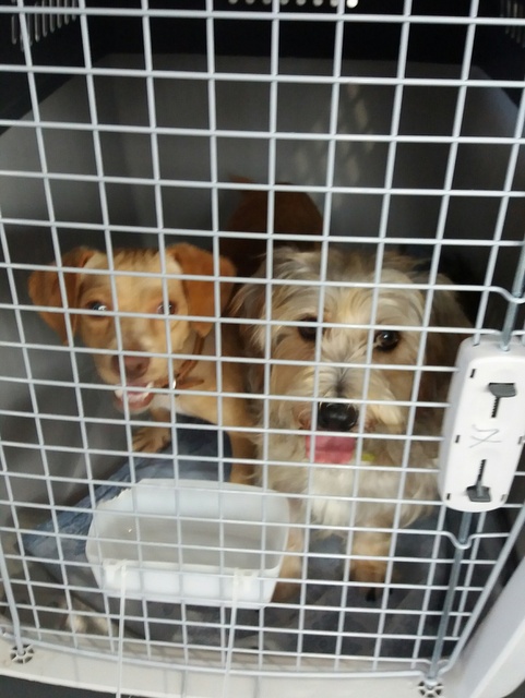 1 20160828 140155 resized