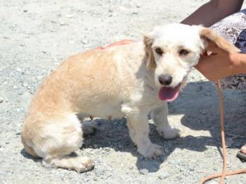 thumb 1 DSC 1773 1600x1067